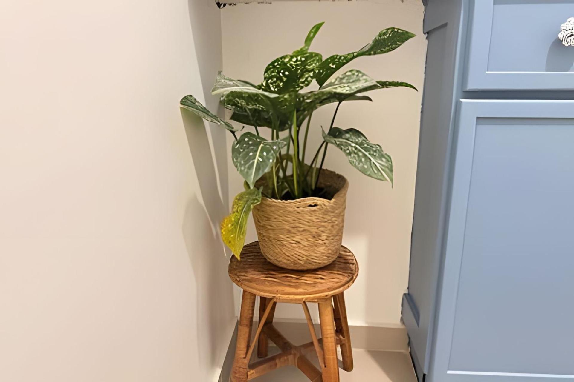 Apartment Comfort 404 Ipanema *